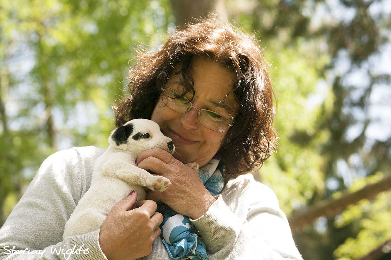 Parson Russell Terrier als Welpe mit Frauchen